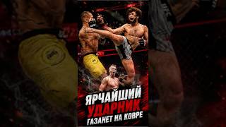 ДОЖДАЛИСЬ! Забит ДЕБЮТИРУЕТ В ACBJJ в ИЮЛЕ против экс-соперника Махачева