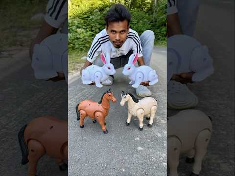 Remote Control 2 Ta Rabbit and RC 2 Ta horse deko 😊