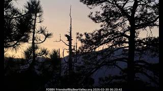 3-30-2026 The Egg-citement of Anticipation