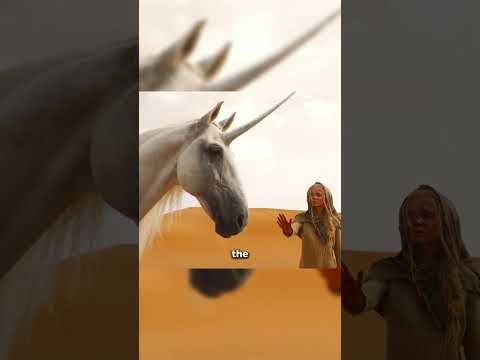 Guided by the White Unicorn