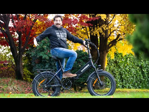 Bici Elettrica FAT SAMEBIKE LOTDM200 - II