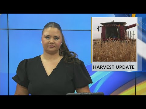YouTube video thumbnail: Ag & Energy: Harvest Update
