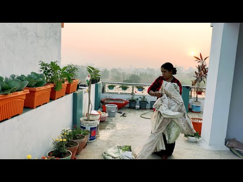 घरातल्या जाळ्या बघून 🤦 पडद्यांची अवस्था किती बेकार🤷 पुन्हा एकदा घराची साफसफाई जोमाने केली👍#cleaning