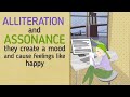 Exploring Alliteration and Assonance in Language Arts