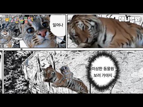 일어나 이상한동물원 보러 가야지.. 연휴 마지막 날 정주행하기⭐ㅣWake up... Let's Go Binge-watch Special Center for the Animals