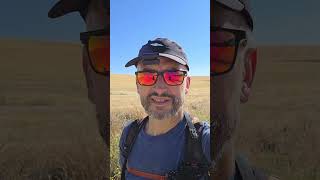 Camino de Madrid. Jeśli szukasz ciszy, to coś dla Ciebie!