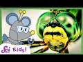 Understanding Compound Eyes and Vision
