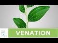 Types of Leaf Venation