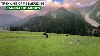 Janshai Meadows of Kalam | Swat Valley | Travel Pakistan