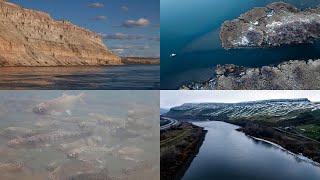 Columbia at a Crossroads: Fish wars, dam removal and climate change