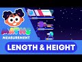Understanding Height and Length Concepts