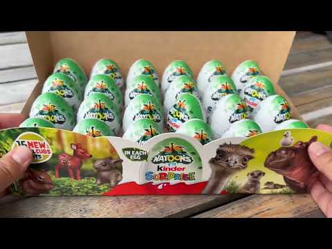 Opening 12 kinder surprise eggs Natoons 2025