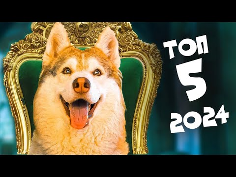 ТОП 5 ЛУЧШИХ СЕРИЙ 2024 года!! (Хаски Бублик) Говорящая собака