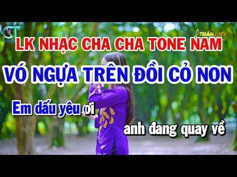 Liên Khúc Nhạc Sống Cha Cha Tone Nam – Vó Ngựa Trên Đồi Cỏ Non – Chút Kỷ Niệm Buồn