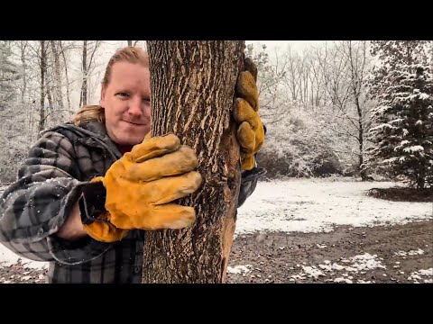 ASMR | Massaging a Tree Into a Book