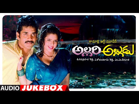 Allari Alludu Audio Songs Jukebox | Nagarjuna, Vanisri, Meena | MM Keeravani | Telugu Old Hit Songs