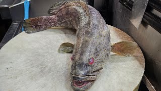 SH Fresh & Fish  is live #fish #live