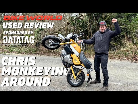 Honda Monkey Bike | Used Bike Review