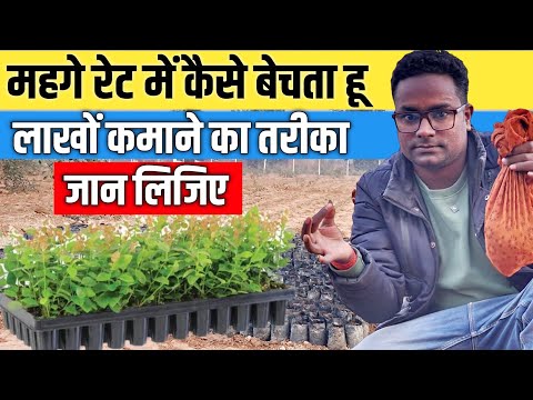 How to Earn Big Profits from Farming: Revealed मेरा फार्मूला: खेती से हर महीने लाखों की कमाई