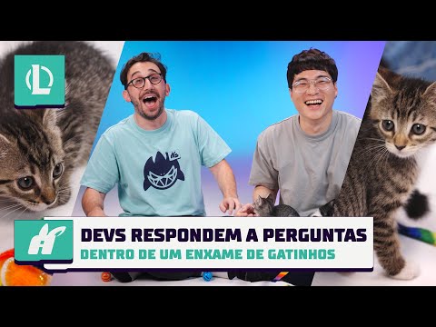 Devs respondem a perguntas dentro de um enxame de gatinhos | League of Legends