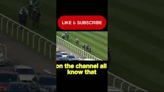 All Aboard the Celtic Dino Express!!!!!! #horse #horseracing