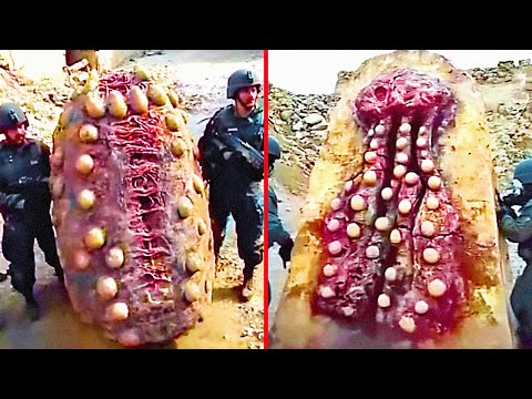 20 World Secrets That Will NEVER Be Revealed