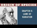 Darwin's Theory of Natural Selection