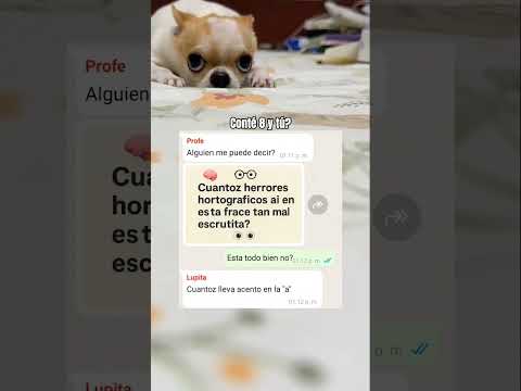 quién escribió eso? 😐 #shorts #memes #videoviral #humor #andrast #babifreitas #chotaalivlogs