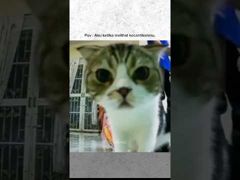 Ketika Aku Tepesona dengan Diriku 🙈