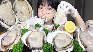 크림 가득한 바위굴 먹방🦪GIANT RAW OYSTERS MUKBANG ASMR