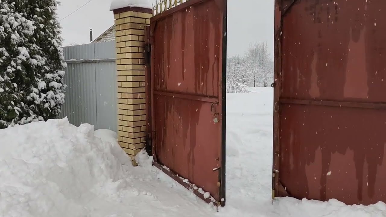 9 марта 2023 г. Буян не пришел. Ищем и ждем
