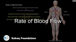 Rate of Blood Flow