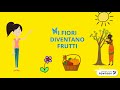 Il Ciclo di Vita delle Piante