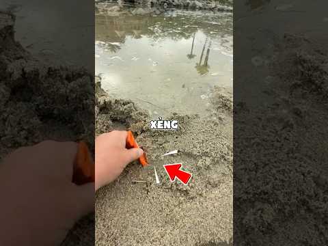 Khi "vui đùa" biến thành thảm họa bãi biển! 🏖️😱