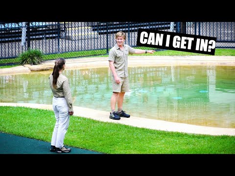 Robert Irwin asking Mum for permission to get in the water with Bluey the Crocodile