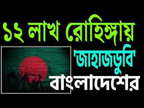 ১২ লাখ রোহিঙ্গা নিয়ে ইউনূসের নৌকাডুবি । শুনুন সেই কাহিনী ।