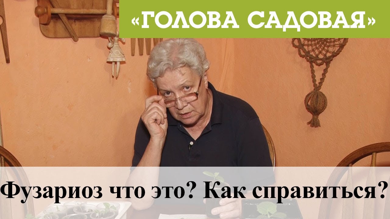 Фузариоз что это? Как справиться?