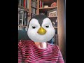 Seagulls and Their Humorous Names