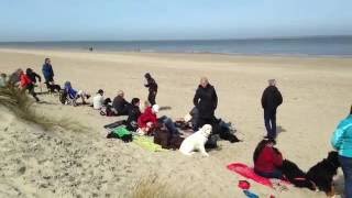 Urlaub mit Hund in Holland