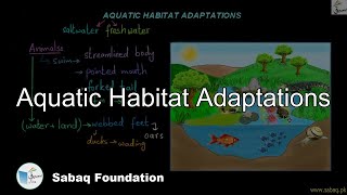 Aquatic Habitat Adaptations