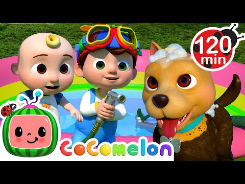 Wash the Doggie! Bingo's Bath Song! 🐕🧼 | CoComelon Nursery Rhymes + Kids Songs | Animals for Kids