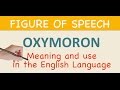 Understanding Oxymorons and Their Examples