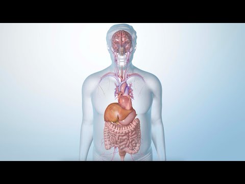 How Semaglutide Helps You Lose Excess Weight