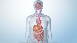 How Semaglutide Helps You Lose Excess Weight