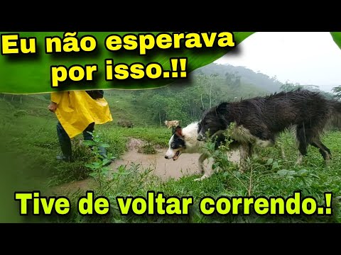 ANTES DE CHEGAR NO EITO TIVE DE VOLTAR CORRENDO