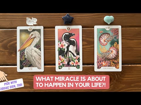 What Miracle Is About To Happen in Your Life?! | Timeless Reading