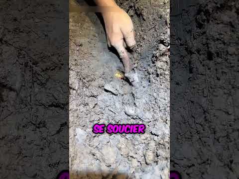 Ce sauvetage héroïque sauve un enfant d'un animal dangereux !