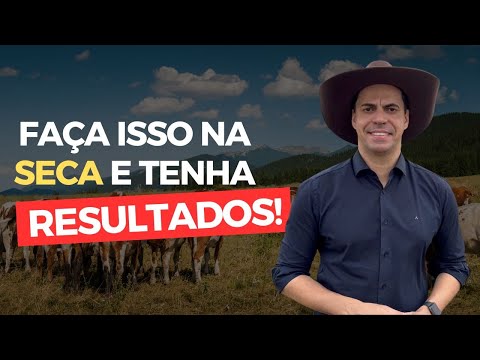 NO PERÍODO DE SECA, SOMENTE RAÇÃO DA RESULTADO?