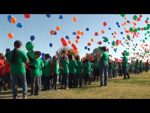 RAW VIDEO: McCabe school district holds Primary...