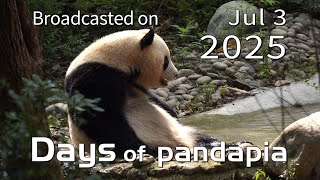 20250703 Broadcast Top Highlights 07